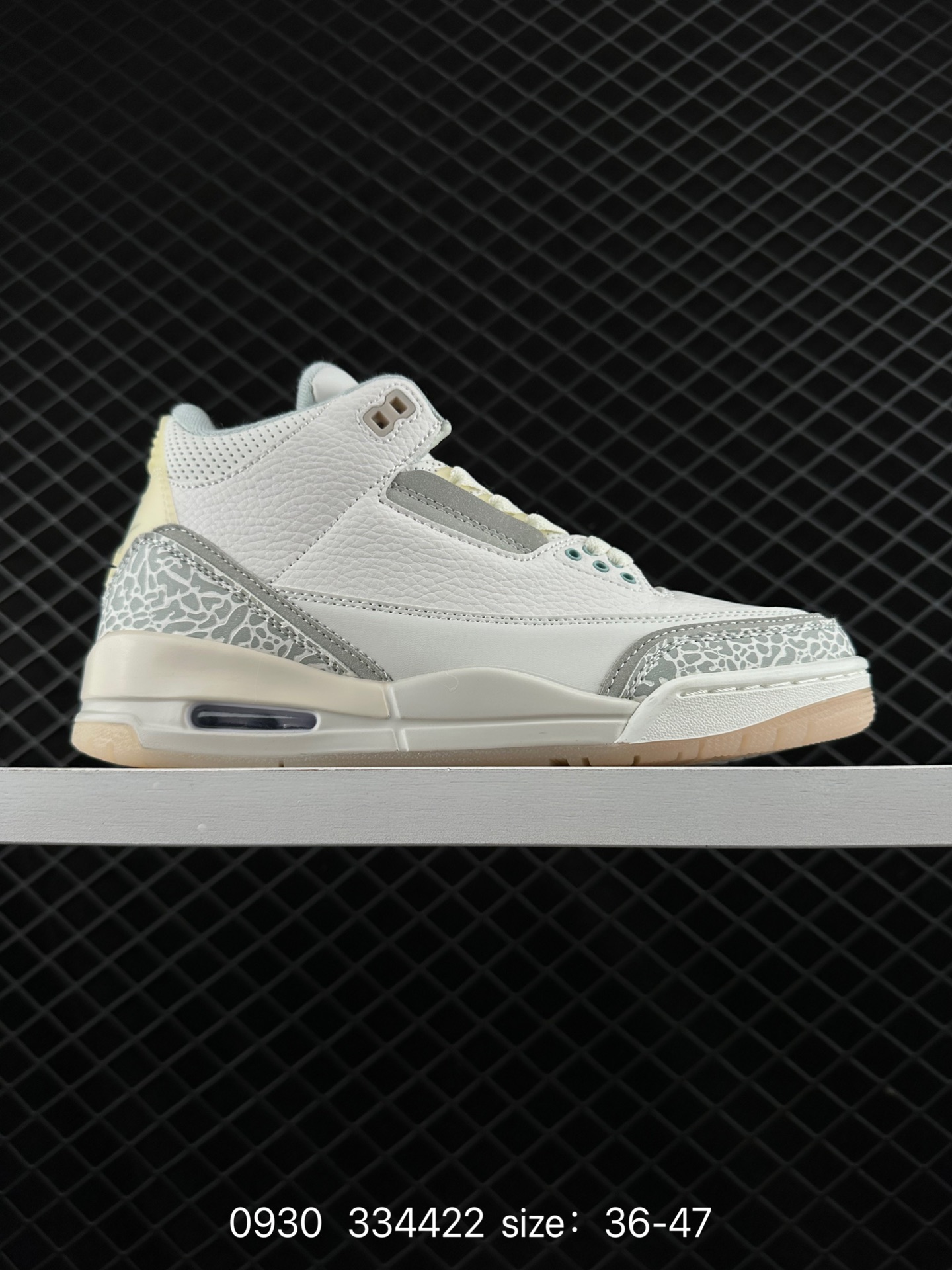 Nike Air Jordan 3 Retro SE
